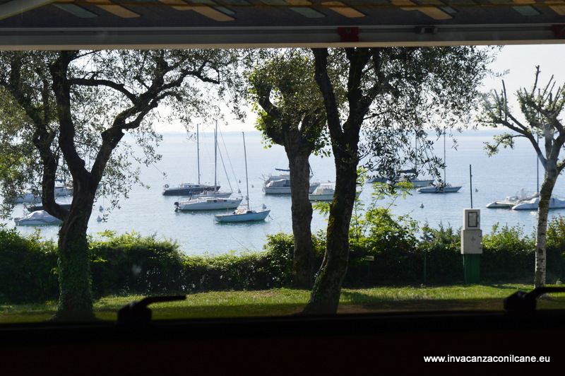camping san michele