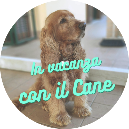 logo vacanza con cane