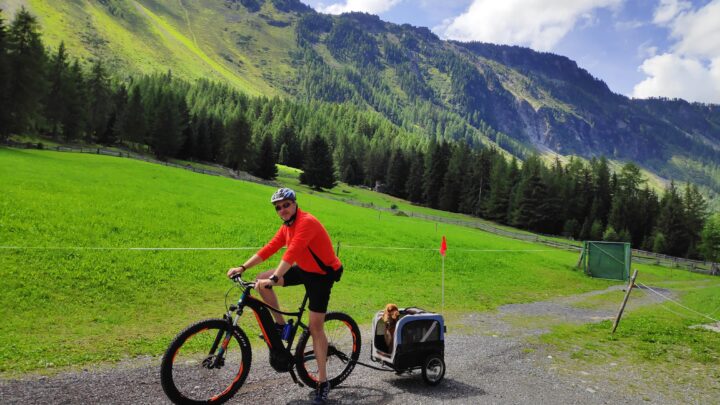 mountain bke che traina un dog trailer con una cockerina